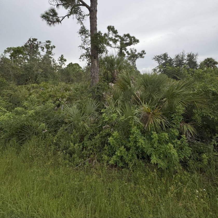 Build your dream home or invest on this vacant lot in Port - Beach Lot for sale in Port Charlotte, Florida on Beachhouse.com