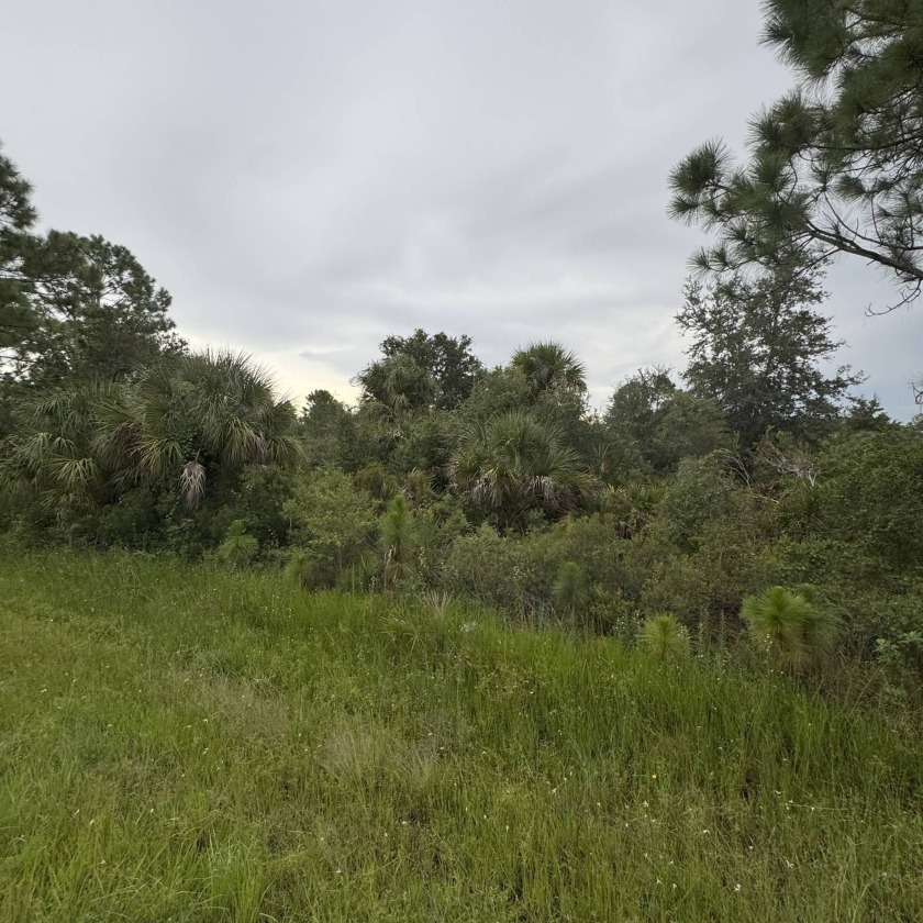 Build your dream home or invest on this vacant lot in Port - Beach Lot for sale in Port Charlotte, Florida on Beachhouse.com