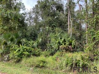 Purchase this lovely homesite in Palm Coast  now and build your - Beach Lot for sale in Palm Coast, Florida on Beachhouse.com