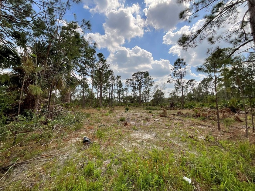 CLEARED LOT!! Grab *A Slice of Paradise* located in the growing - Beach Lot for sale in Port Charlotte, Florida on Beachhouse.com