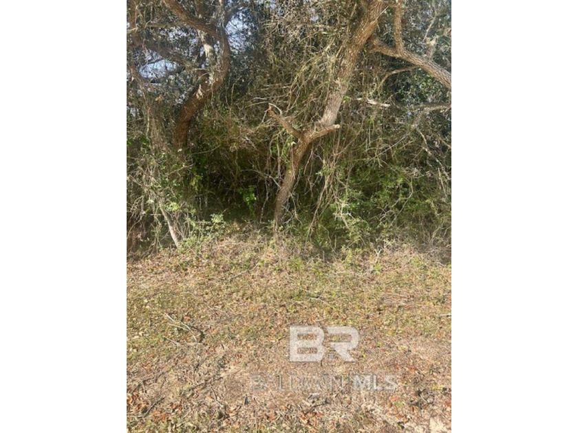 Build your dream home or investment on Cotton Bayou Dr. Close to - Beach Lot for sale in Orange Beach, Alabama on Beachhouse.com