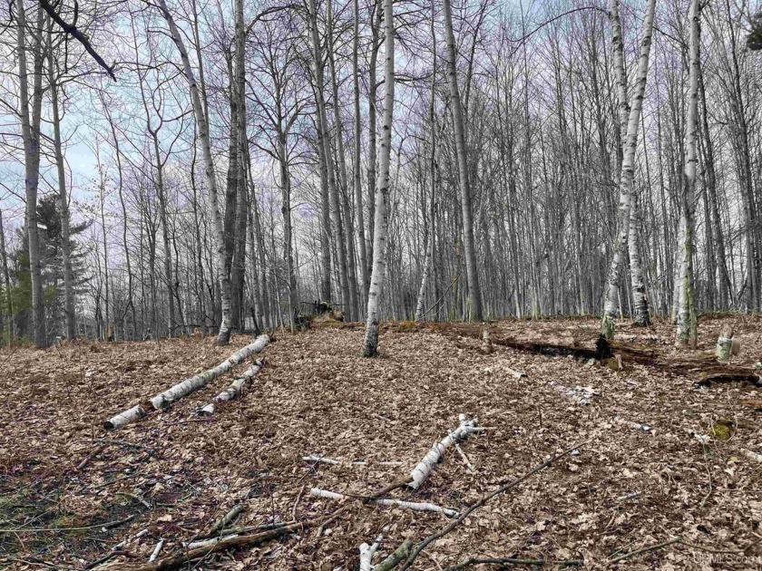 Rare Smith Lake Lot - 250' Lake Frontage, High Ground, Easy - Beach Acreage for sale in Manistique, Michigan on Beachhouse.com