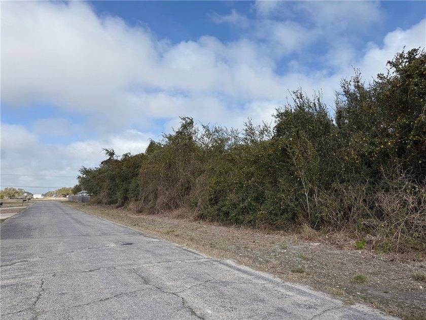 No HOA. Two large city lots with approximately 100 feet of road - Beach Lot for sale in Aransas Pass, Texas on Beachhouse.com