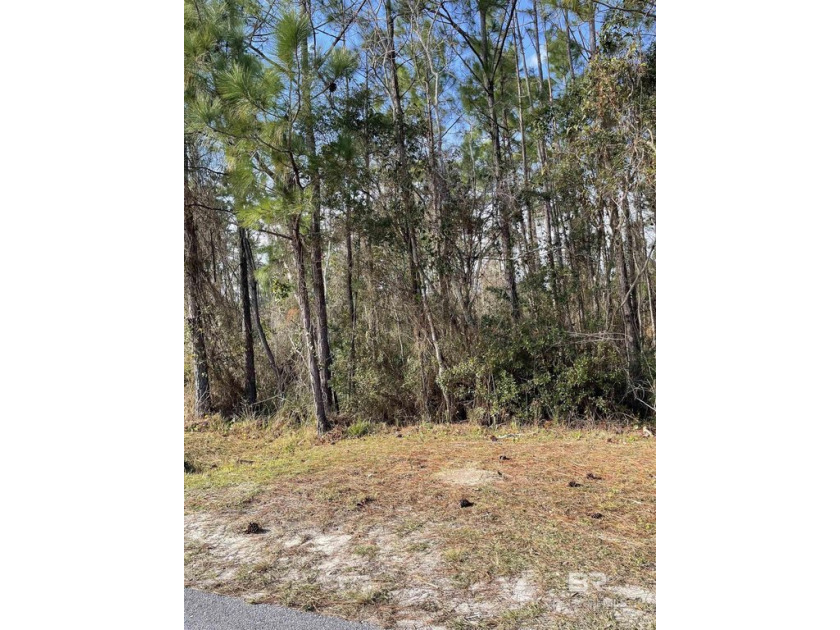 Wonderful place to build your dream home or investment. close to - Beach Lot for sale in Orange Beach, Alabama on Beachhouse.com