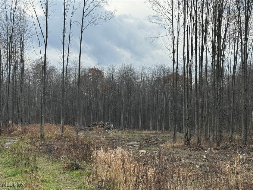 Beautiful 15 Wooded Acres! Discover the perfect blend of privacy - Beach Acreage for sale in Conneaut, Ohio on Beachhouse.com