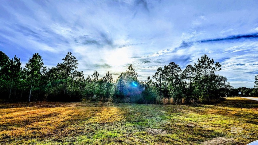 Welcome to a truly magnificent piece of land, encompassing 1.79 - Beach Lot for sale in Elberta, Alabama on Beachhouse.com