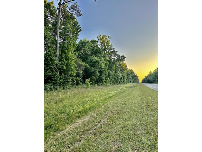 Gorgeous 18.13 acre tract on highway 98, this beautiful parcel - Beach Acreage for sale in Crawfordville, Florida on Beachhouse.com