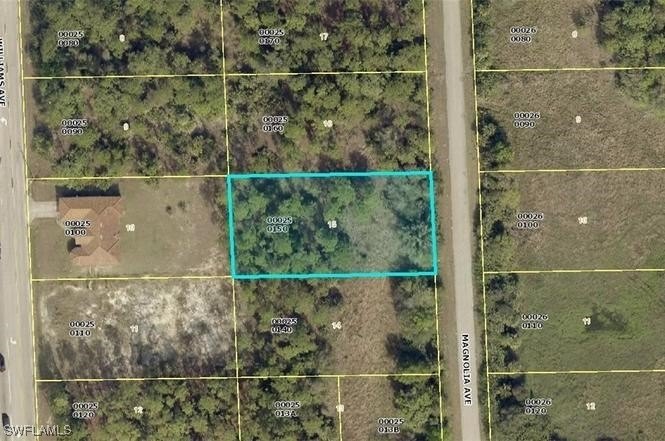 clear already, This lot in Lehigh acres is located near golf - Beach Lot for sale in Lehigh Acres, Florida on Beachhouse.com