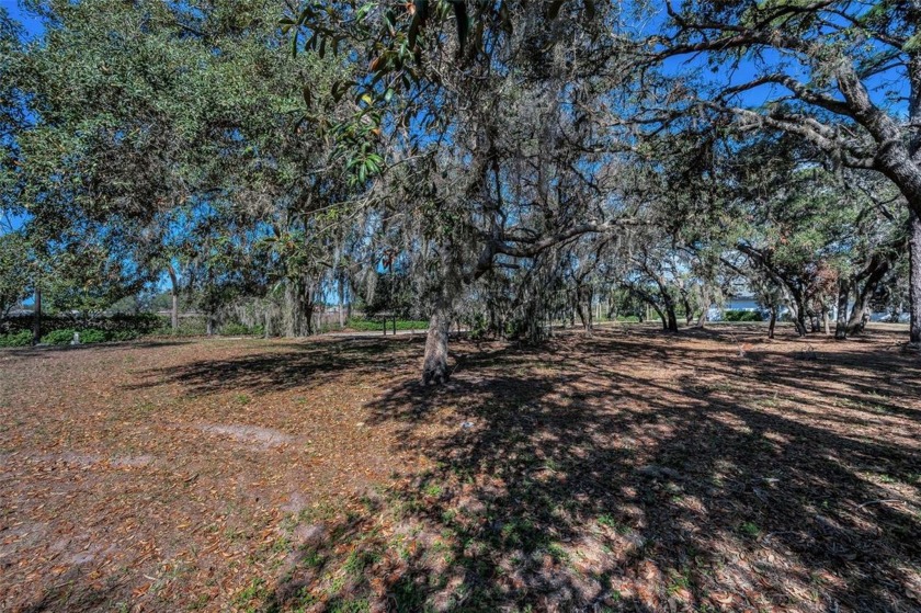 Luxury Living in the Heart of Champions Club - Build Your Dream - Beach Lot for sale in Trinity, Florida on Beachhouse.com