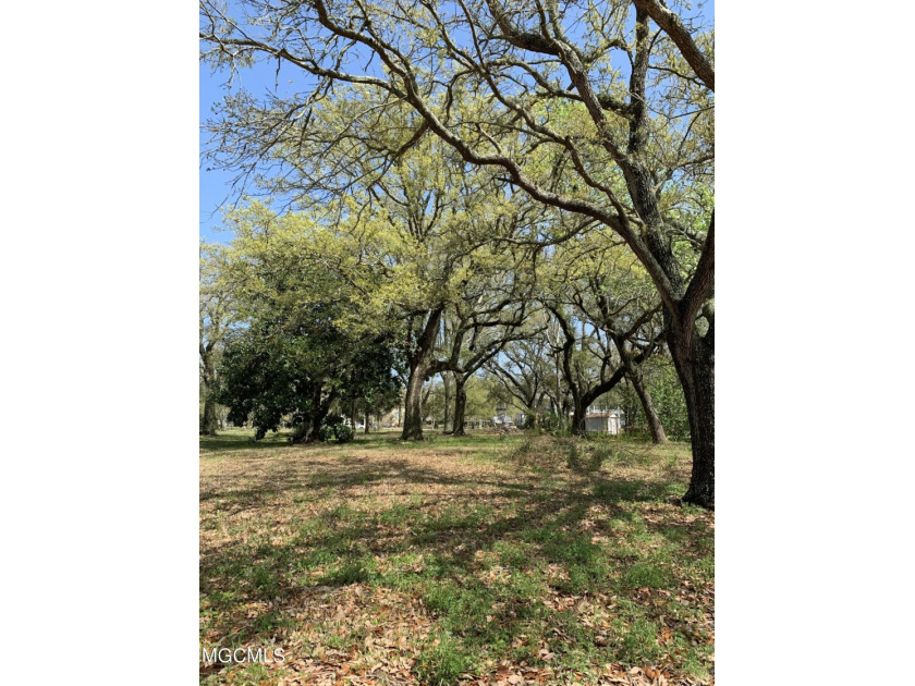 Very nice beautiful residential building lot in South Pascagoula - Beach Lot for sale in Pascagoula, Mississippi on Beachhouse.com