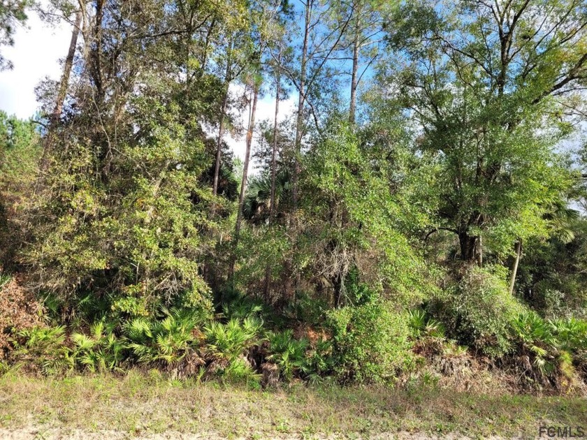 This beautiful 25 acre parcel is located just minutes from - Beach Acreage for sale in Bunnell, Florida on Beachhouse.com