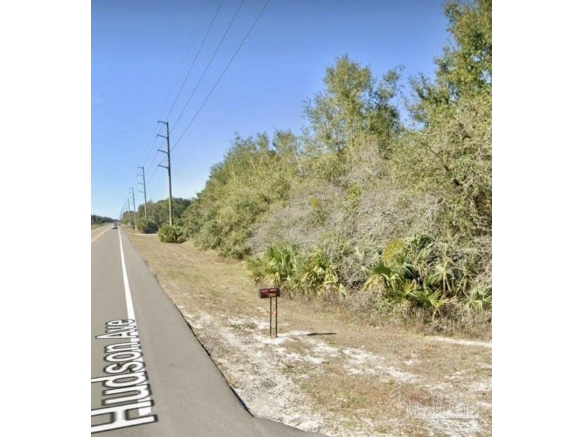 9.57 Acres in Hudson, Florida - Beautiful Live Oaks, Partially - Beach Acreage for sale in Hudson, Florida on Beachhouse.com