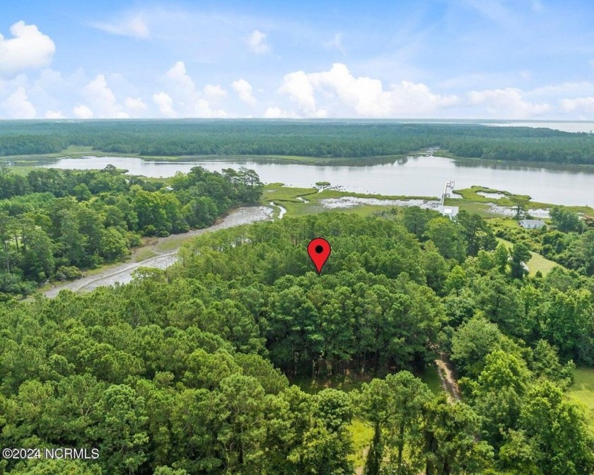 SOIL EVALUATION AVAILABLE. Located on the serene Harlowe Creek - Beach Acreage for sale in Newport, North Carolina on Beachhouse.com