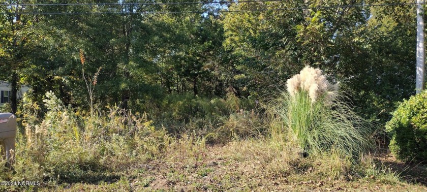 Rare Find! Build from the ground up or place a Manufactured Home - Beach Lot for sale in New Bern, North Carolina on Beachhouse.com