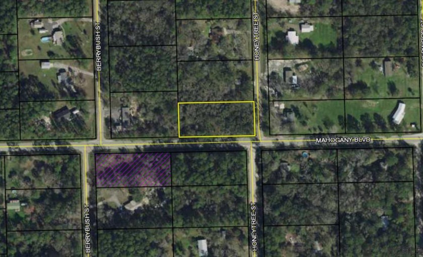 Great Corner lot & location next to Paved road (Mahogany) and - Beach Lot for sale in Bunnell, Florida on Beachhouse.com