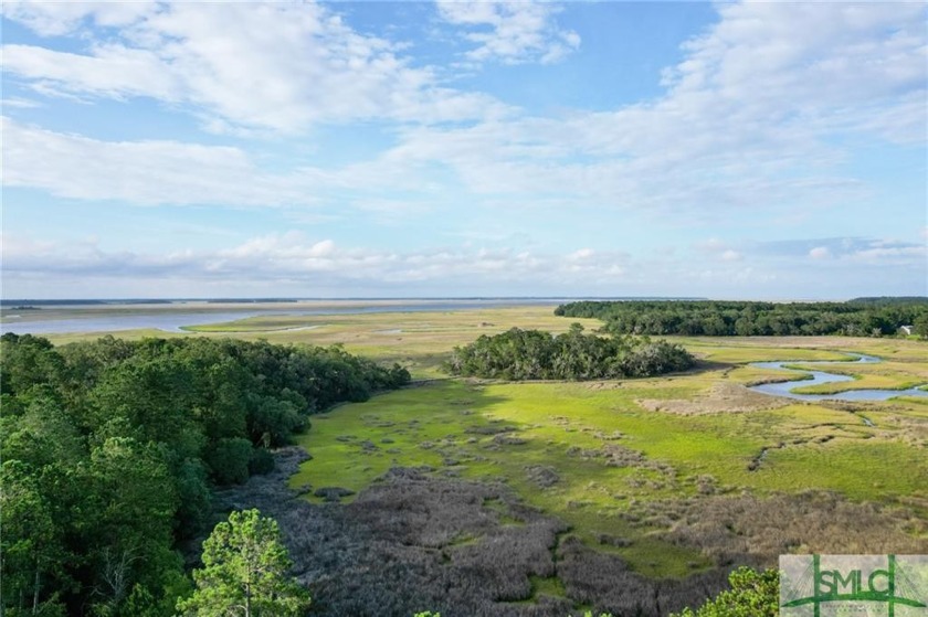 Gorgeous .778-acre lot w/171 ft of pristine marsh front offers - Beach Lot for sale in Townsend, Georgia on Beachhouse.com