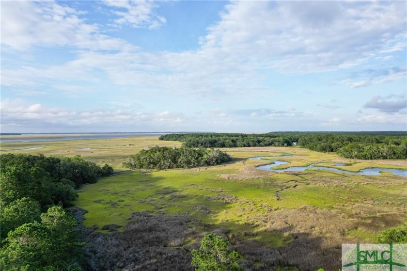 Gorgeous .706-acre lot w/109 ft of pristine marsh front offers - Beach Lot for sale in Townsend, Georgia on Beachhouse.com
