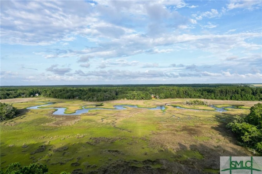 Gorgeous .69-acre lot w/108 ft of pristine marsh front offers - Beach Lot for sale in Townsend, Georgia on Beachhouse.com