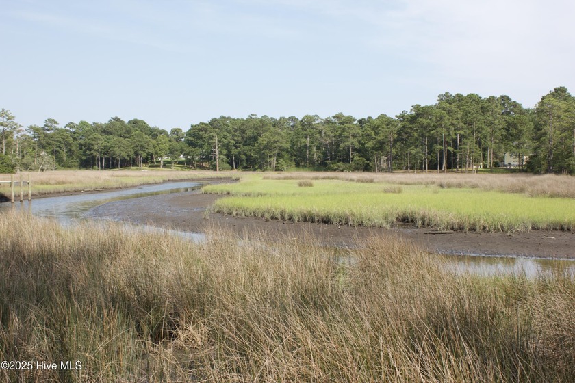 Wonderful partially wooded water/creek/marsh view Lot with - Beach Lot for sale in Swansboro, North Carolina on Beachhouse.com