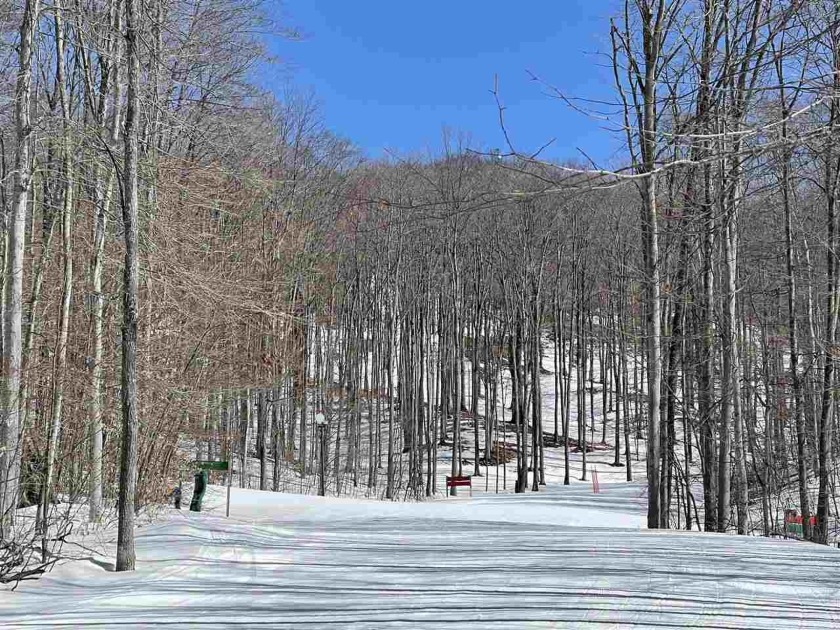 Enjoy true ski-in/ski-out access to Nub's Nob ski runs from this - Beach Lot for sale in Harbor Springs, Michigan on Beachhouse.com