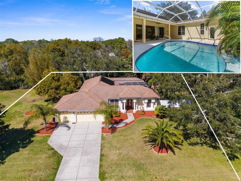 GORGEOUS, MOVE-IN READY, LARGE, 3/3/3 COURTYARD POOL HOME was - Beach Home for sale in Spring Hill, Florida on Beachhouse.com