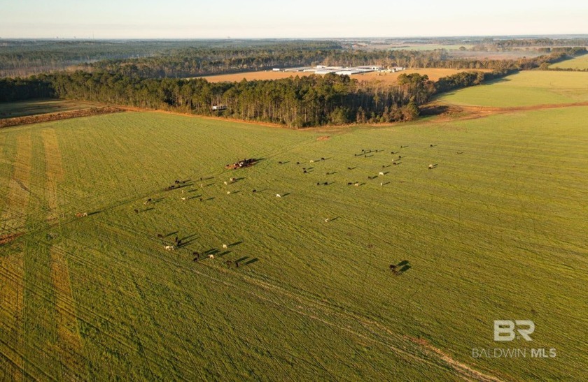 467+/- acres includes irrigated farmland, timberland and - Beach Acreage for sale in Elberta, Alabama on Beachhouse.com