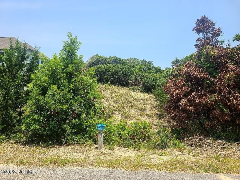 Build your dream home high on the dune ridge overlooking the - Beach Lot for sale in Bald Head Island, North Carolina on Beachhouse.com