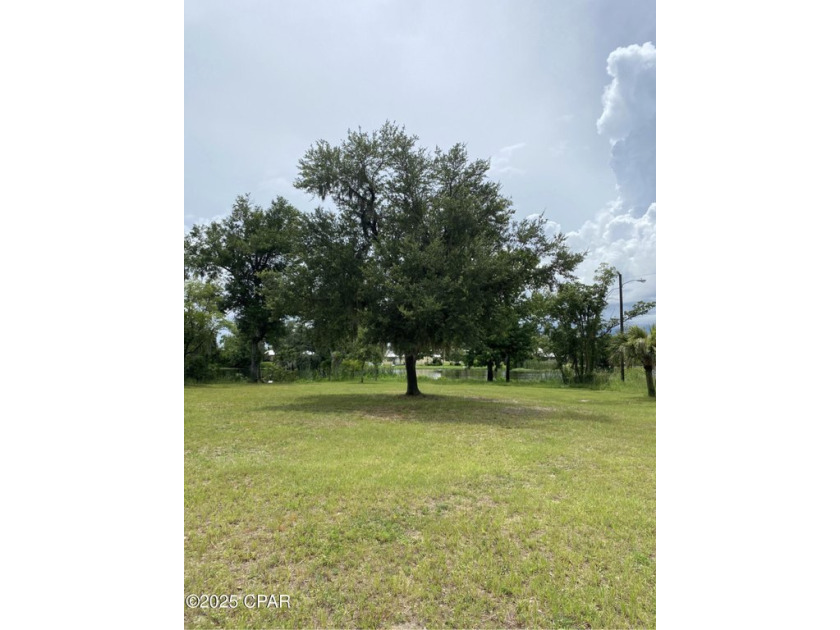 WATERFRONT! Large lot in Lynn Haven with no hoa.Canoe or kayak - Beach Lot for sale in Lynn Haven, Florida on Beachhouse.com