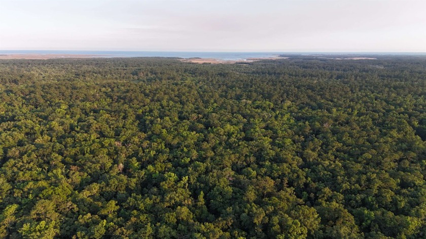 Beautiful 30 acres adjoining St. Marks National Wildlife Refuge - Beach Acreage for sale in Crawfordville, Florida on Beachhouse.com