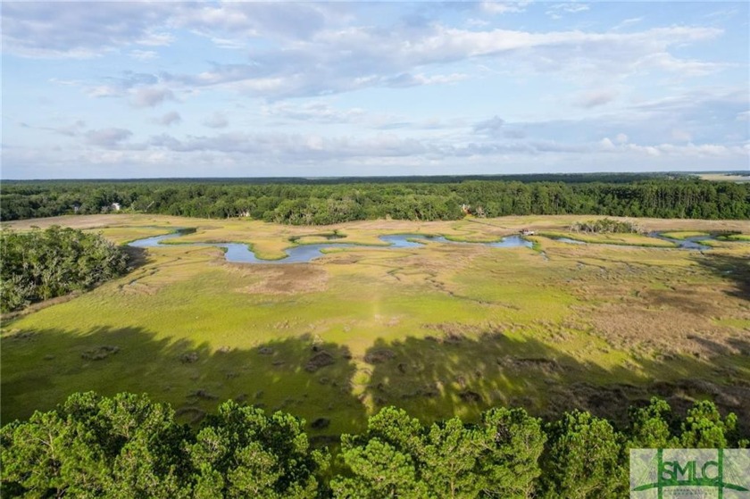 Gorgeous .69-acre lot w/112 ft of pristine marsh front offers - Beach Lot for sale in Townsend, Georgia on Beachhouse.com