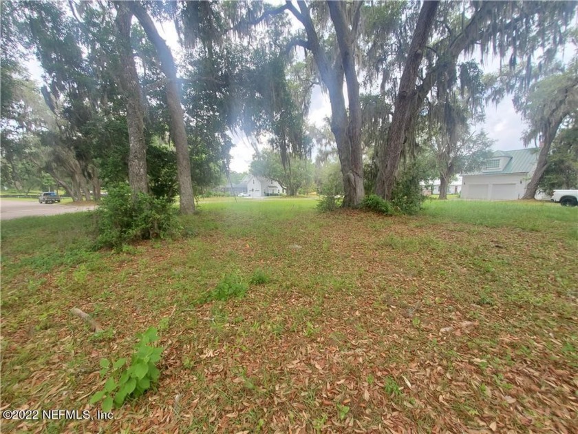 ***************BEAUTIFUL AND READY************ Cleared & Vacant - Beach Lot for sale in Yulee, Florida on Beachhouse.com