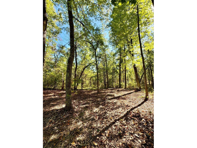 Discover the perfect blend of natural beauty and modern - Beach Acreage for sale in Nisswa, Minnesota on Beachhouse.com