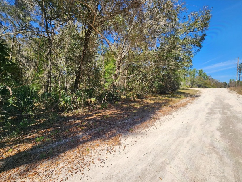 Here we have an incredibly gorgeous homesite tucked away in the - Beach Lot for sale in Inglis, Florida on Beachhouse.com