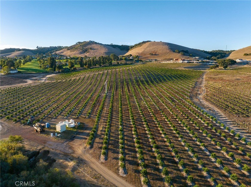 The prestigious 285 acre Jack Ranch is Edna Valley's crown jewel - Beach Acreage for sale in San Luis Obispo, California on Beachhouse.com