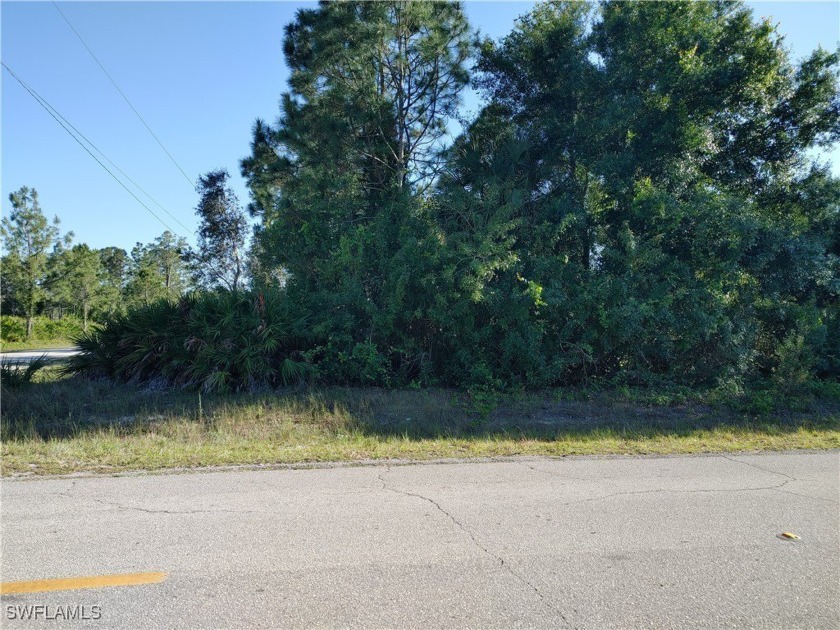 CORNER LOT, (NOT in a FLOOD ZONE) Great Location to build your - Beach Lot for sale in Lehigh Acres, Florida on Beachhouse.com