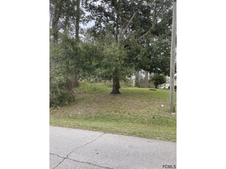 Beautiful lot in a very desirable area, close to  Us1 Hight way - Beach Lot for sale in Palm Coast, Florida on Beachhouse.com