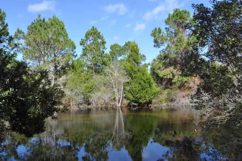 Great building lot on fresh water canal. Developing area. Close - Beach Lot for sale in Palm Coast, Florida on Beachhouse.com