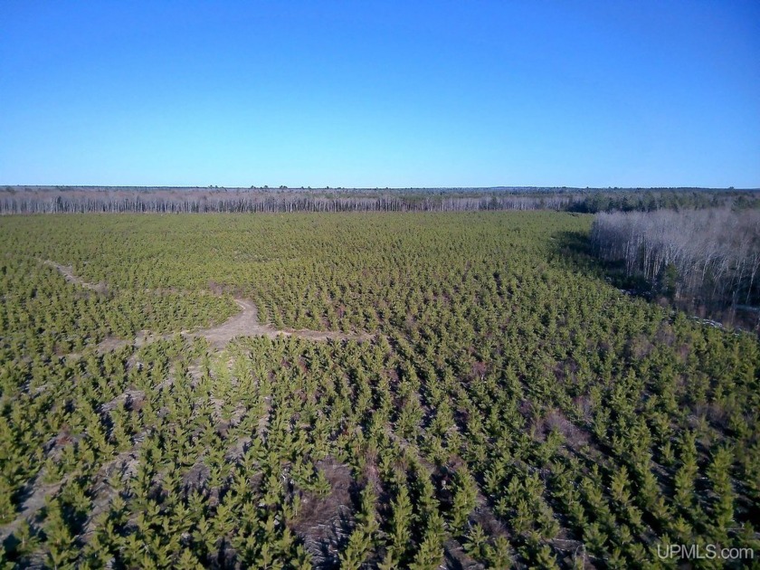 Parcel 2 of three off 16 Mile Road in AuTrain Township in the - Beach Acreage for sale in Au Train, Michigan on Beachhouse.com