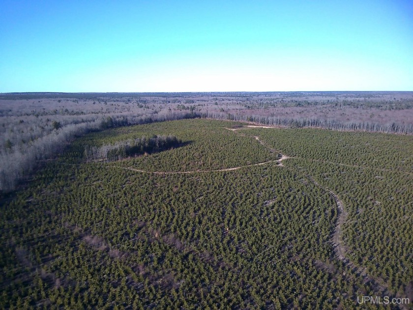 Parcel 1 of three off 16 Mile Road in AuTrain Township in the - Beach Acreage for sale in Au Train, Michigan on Beachhouse.com