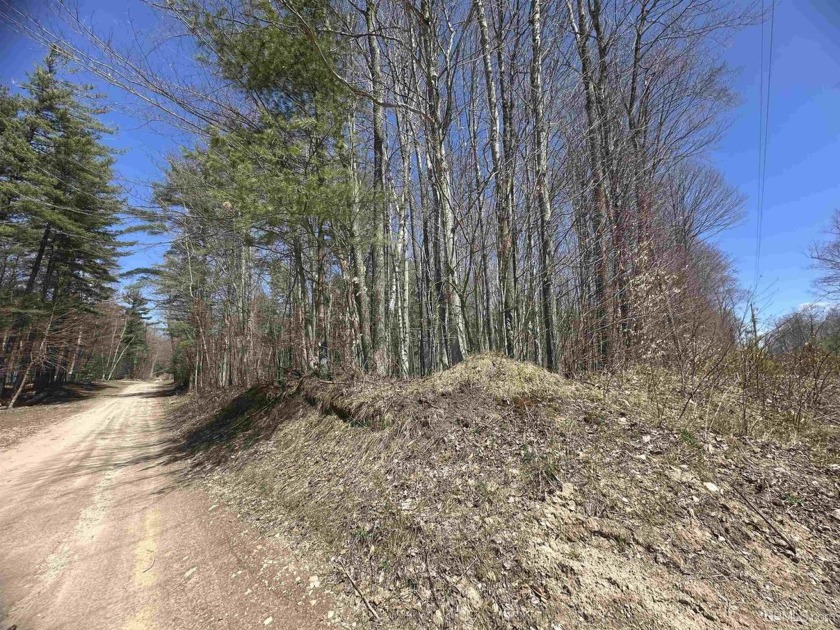 Don't miss this rare opportunity to own a combined 2.19 acres - Beach Acreage for sale in Manistique, Michigan on Beachhouse.com