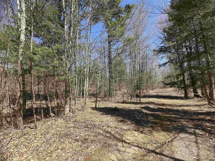 Don't miss this rare opportunity to own a combined 1.9 acres - Beach Lot for sale in Manistique, Michigan on Beachhouse.com