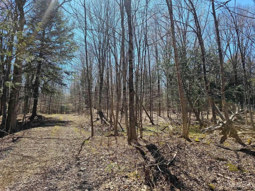 Explore the possibilities with this incredible offering of 31 - Beach Acreage for sale in Manistique, Michigan on Beachhouse.com