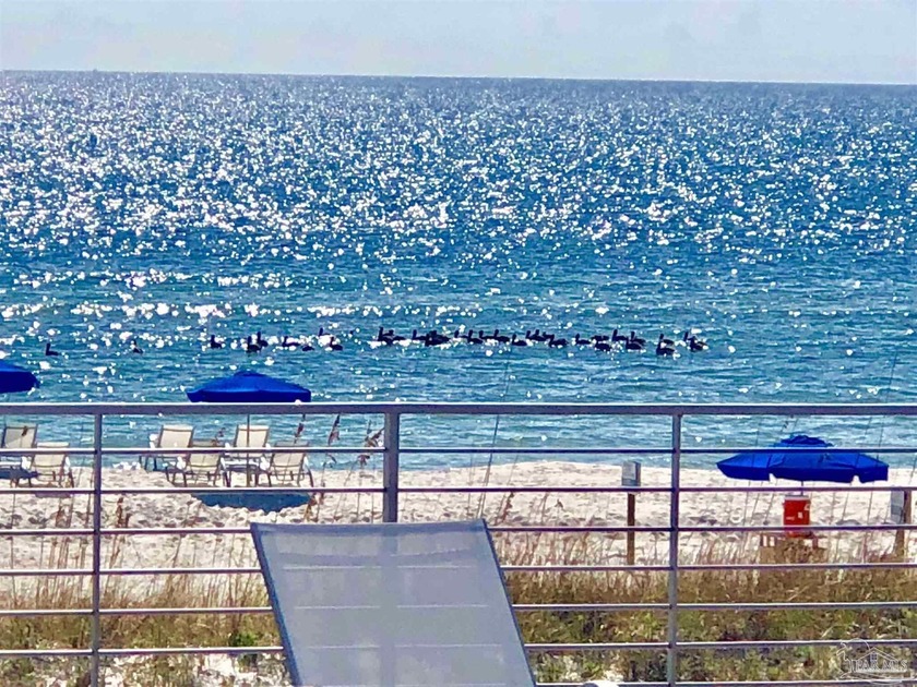WELCOME to luxury living at Beautiful San Anton at Lost Key Golf - Beach Condo for sale in Perdido Key, Florida on Beachhouse.com