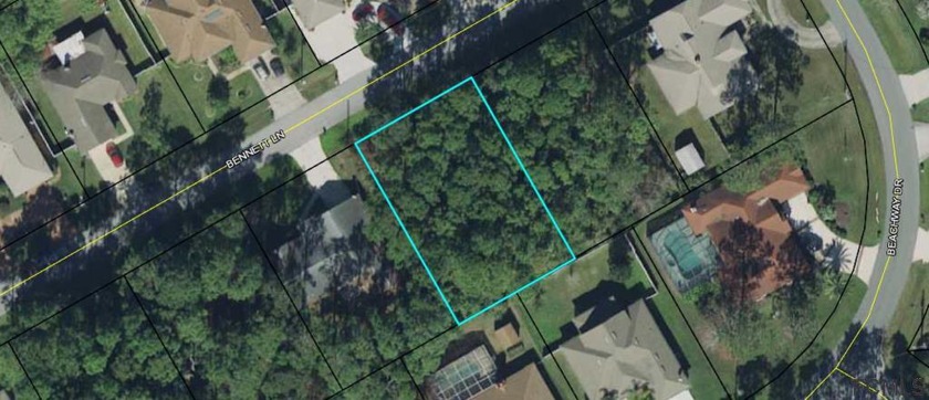 WOODED HOMESITE TO BUILD YOUR DREAM HOME.  BEAUTIFUL - Beach Lot for sale in Palm Coast, Florida on Beachhouse.com