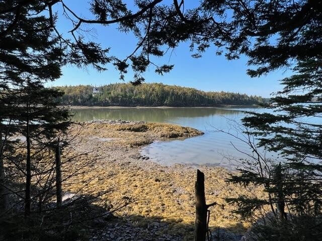 Enjoy the peace & quiet of Collins Cove Road with approx. 200 - Beach Acreage for sale in Machiasport, Maine on Beachhouse.com