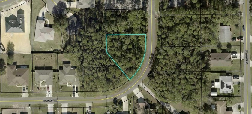 Oversized lot centrally located in Palm Coast close to schools - Beach Lot for sale in Palm Coast, Florida on Beachhouse.com