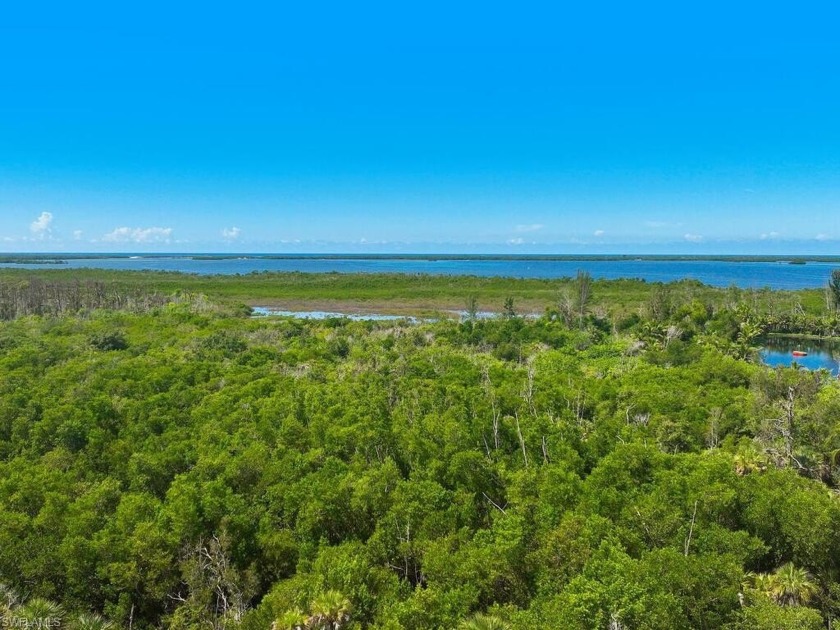 Welcome to a rare opportunity to own a premier residence - Beach Home for sale in Bonita Springs, Florida on Beachhouse.com