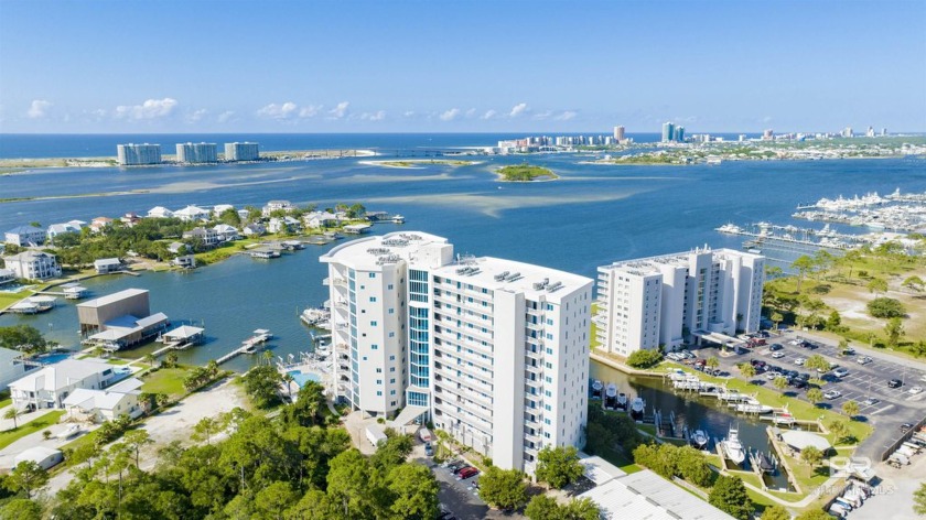 VIEWS, VIEWS, VIEWS!  This is a rare opportunity to own one of - Beach Home for sale in Orange Beach, Alabama on Beachhouse.com