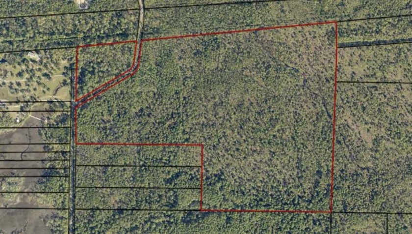 Nestled in the heart of nature, this expansive 85+ acre property - Beach Acreage for sale in Milton, Florida on Beachhouse.com