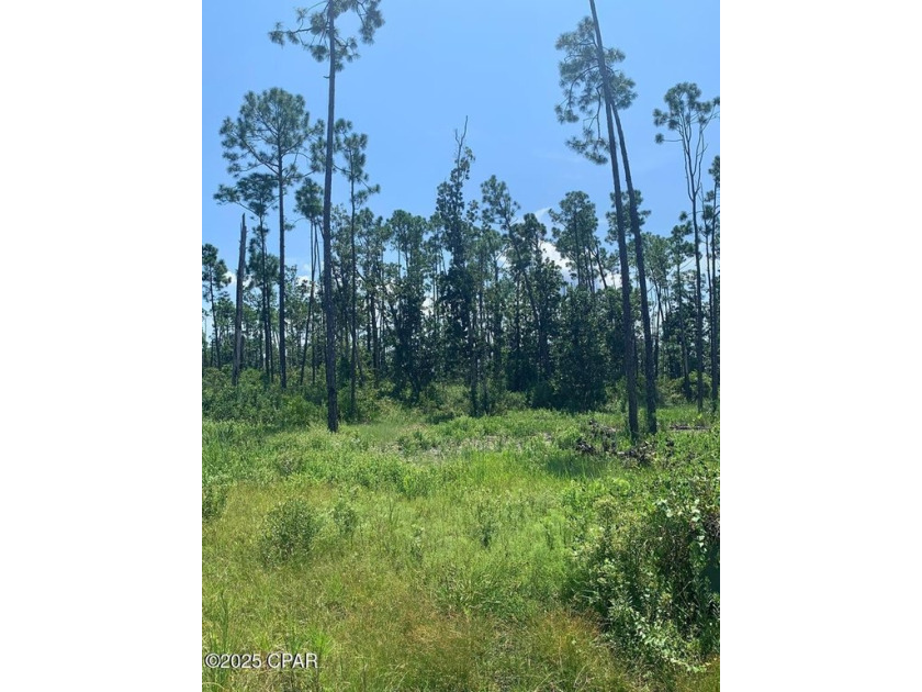 Located in the gated community of Laird Point, this homesite - Beach Lot for sale in Panama City, Florida on Beachhouse.com